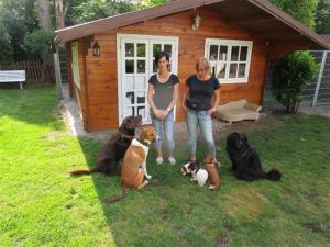 DogVacay - Pet Owners sharing their houses to Host Pets