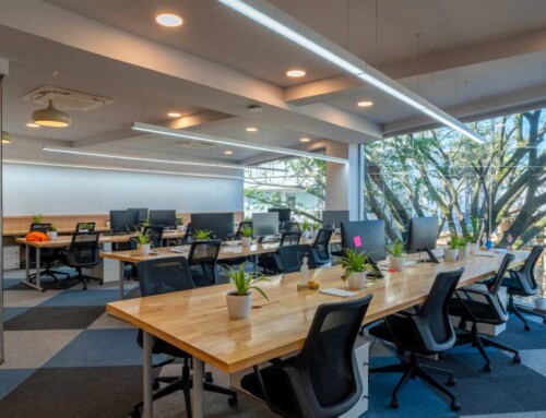 How are managed offices in Bangalore impacting work culture?