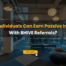 How Individuals Can Earn Passive Income With BHIVE Referral Program?